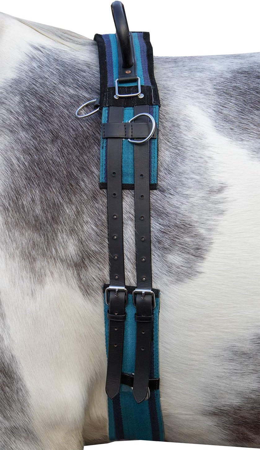 HKM Longiergurt Canvas mit Doppelgriff (Mini Shetty, Navy/Sky Blue) Mini Shetty 8297 navy/sky blue,