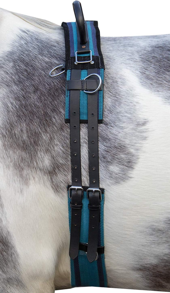 HKM Longiergurt Canvas mit Doppelgriff (Mini Shetty, Navy/Sky Blue) Mini Shetty 8297 navy/sky blue,