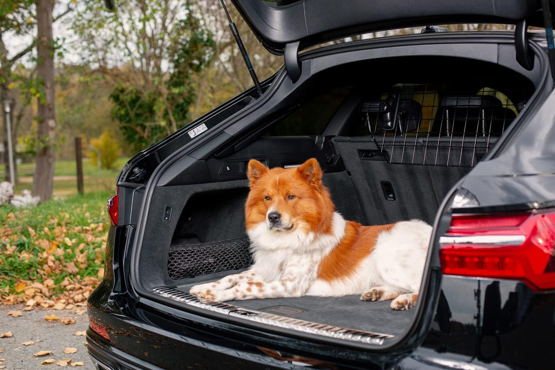 Knuffelwuff universal Kofferraum Schutzgitter mit Kopfstützen Befestigung - Trenngitter für Hunde -