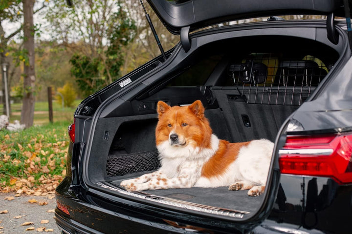 Knuffelwuff universal Kofferraum Schutzgitter mit Kopfstützen Befestigung - Trenngitter für Hunde -
