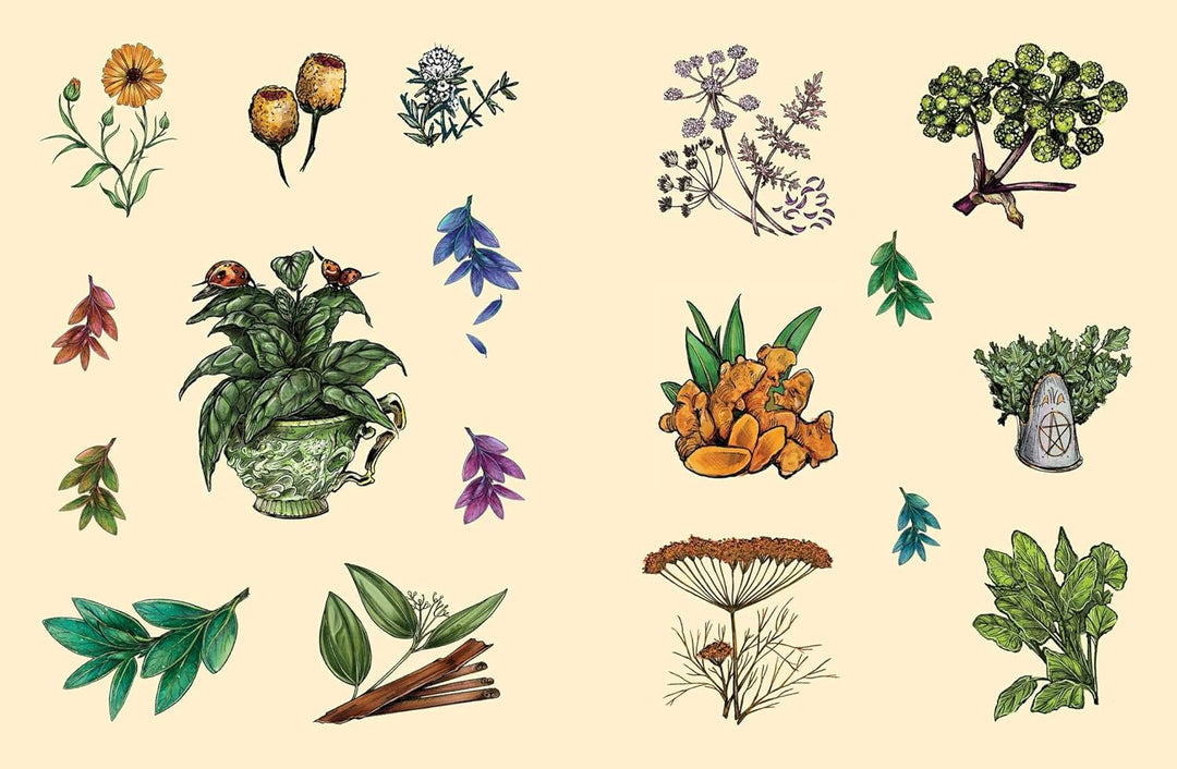 The Green Witch's Sticker Book: 600+ Enchanting Stickers Inspired by Green Magic (Green Witch Witchc