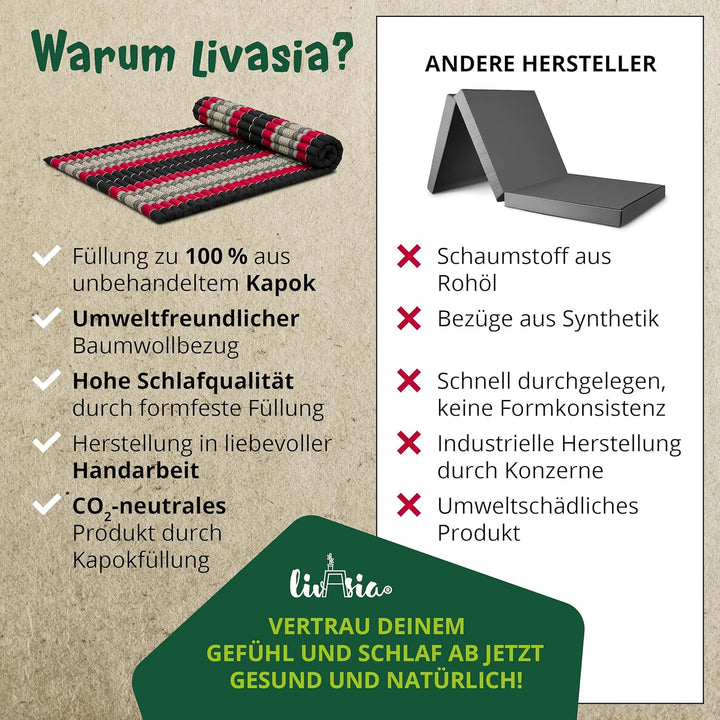 livasia Rollmatte Rollmatratze L-200x110x4,5cm, Gästebett Gästematratze 1 Person, Reisebett Kofferra
