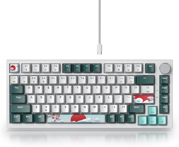 SOLIDEE Verkabelte Mechanische Gaming Tastatur 75%,hot-swap-fähige mechanische Tastatur Gasket Struk
