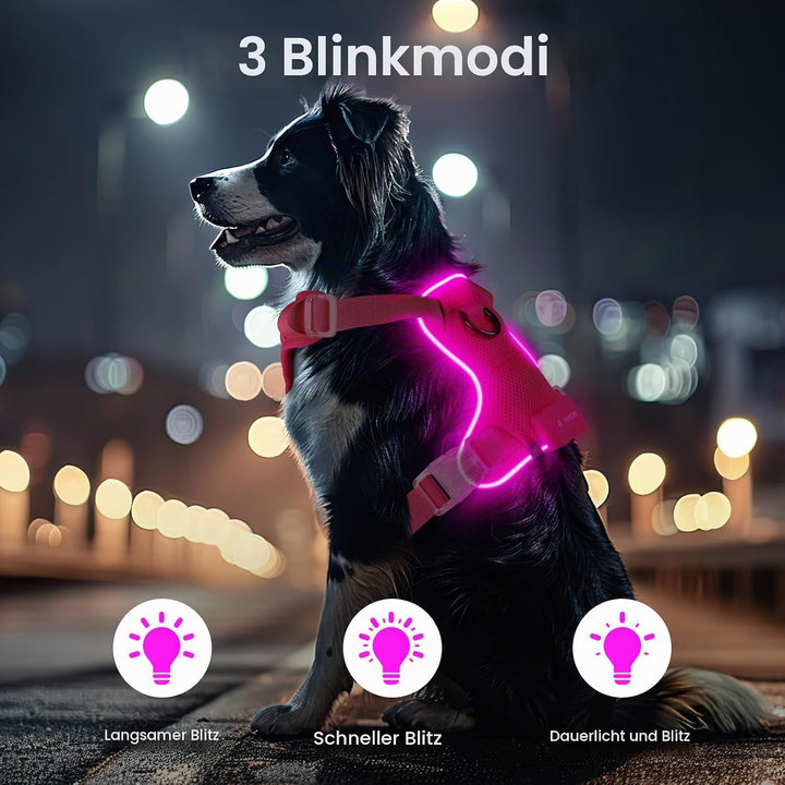 Light Up Dog Hundegeschirr Leuchtend LED Aufladbar - Leuchtgeschirr Leuchtend für Klein Mittelgrosse