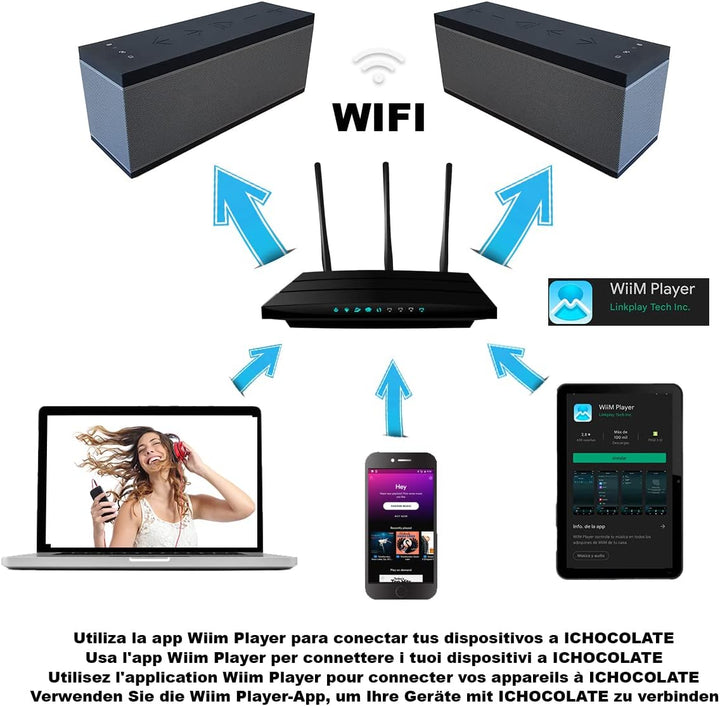BSL-miniPRO Tragbarer WLAN- und Bluetooth-Lautsprecher | Freisprecheinrichtung | für eine Vielzahl v