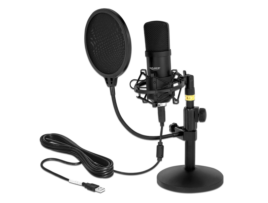 Delock Professionelles USB-Kondensator Mikrofon Set 192 kHz / 24 Bit für Podcasting und Gaming, 6630