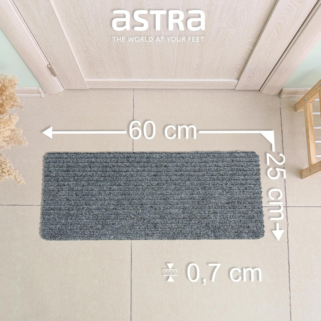 Astra Fussmatte innen Silber Schmutzfangmatte rutschfest – Türmatte 25x60 cm 3er Set wasserabweisend