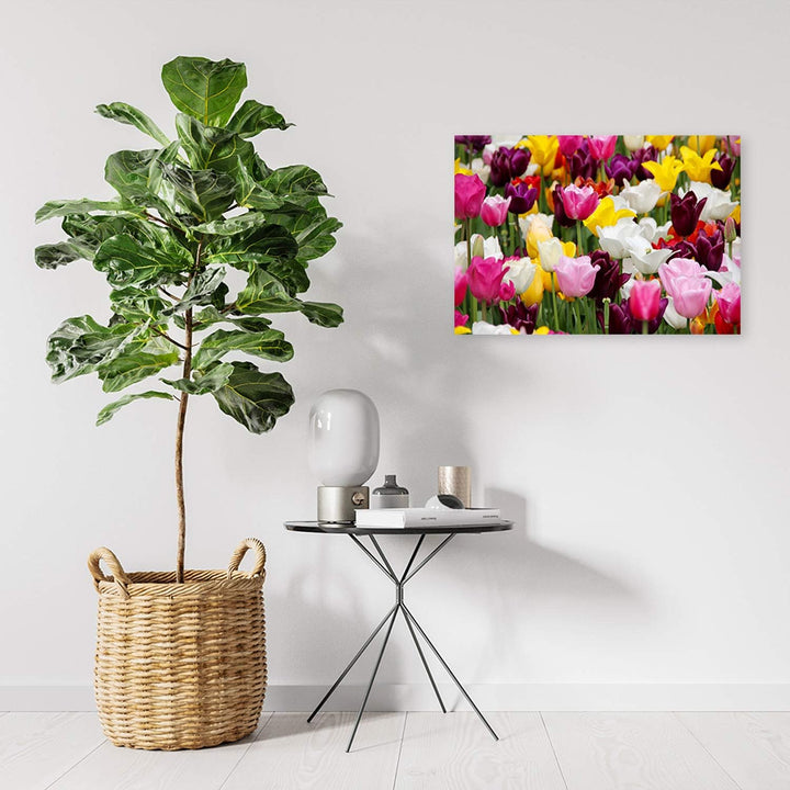 Feeby Wandbild Pflanze Druckbild Leinwandbild Tulpen mehrfarbig 100x70 cm Leinwandbild 100x70 cm meh