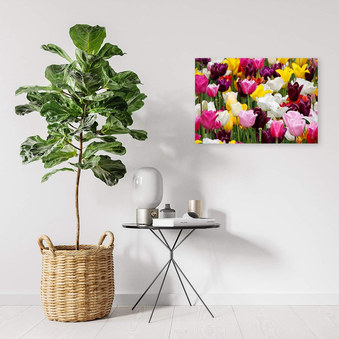 Feeby Bilder Tulpen Blumen 120x80 cm 1Teilig Wohnzimmer Schlafzimmer Flur Modern Wandbilder Bild auf
