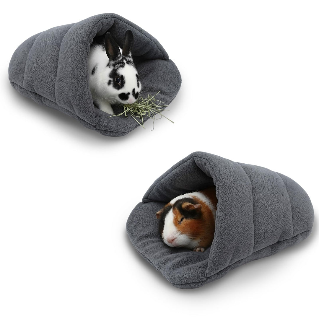 Meerschweinchen