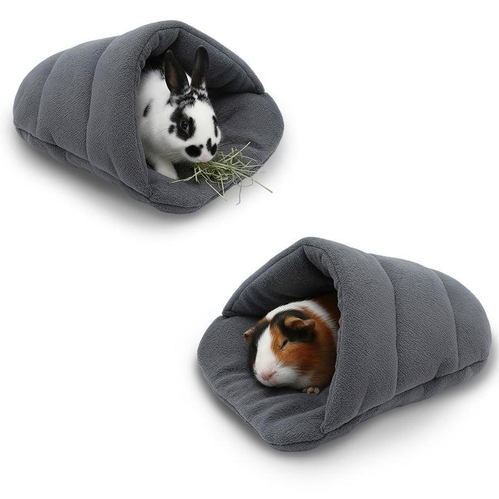 Meerschweinchen
