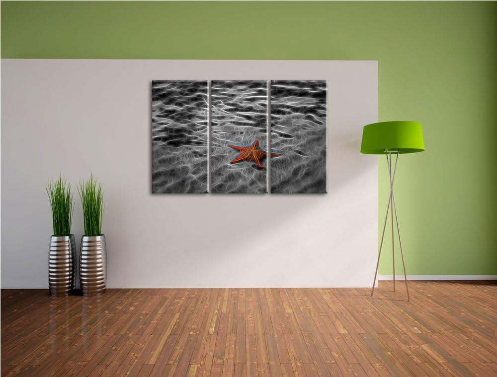 schöner Seestern im klaren Wasser schwarz/weiss Spezial 3-Teiler Leinwandbild 120x80 Bild auf Leinwa