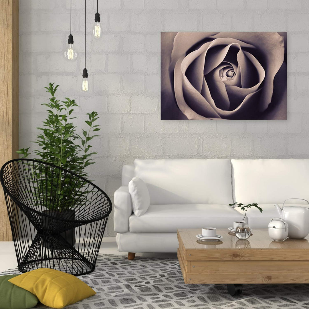 Feeby Bild auf Leinwand Rose Kunstdruck modern Blume Grau 80x60 cm M14549 80x60 cm, M14549 80x60 cm