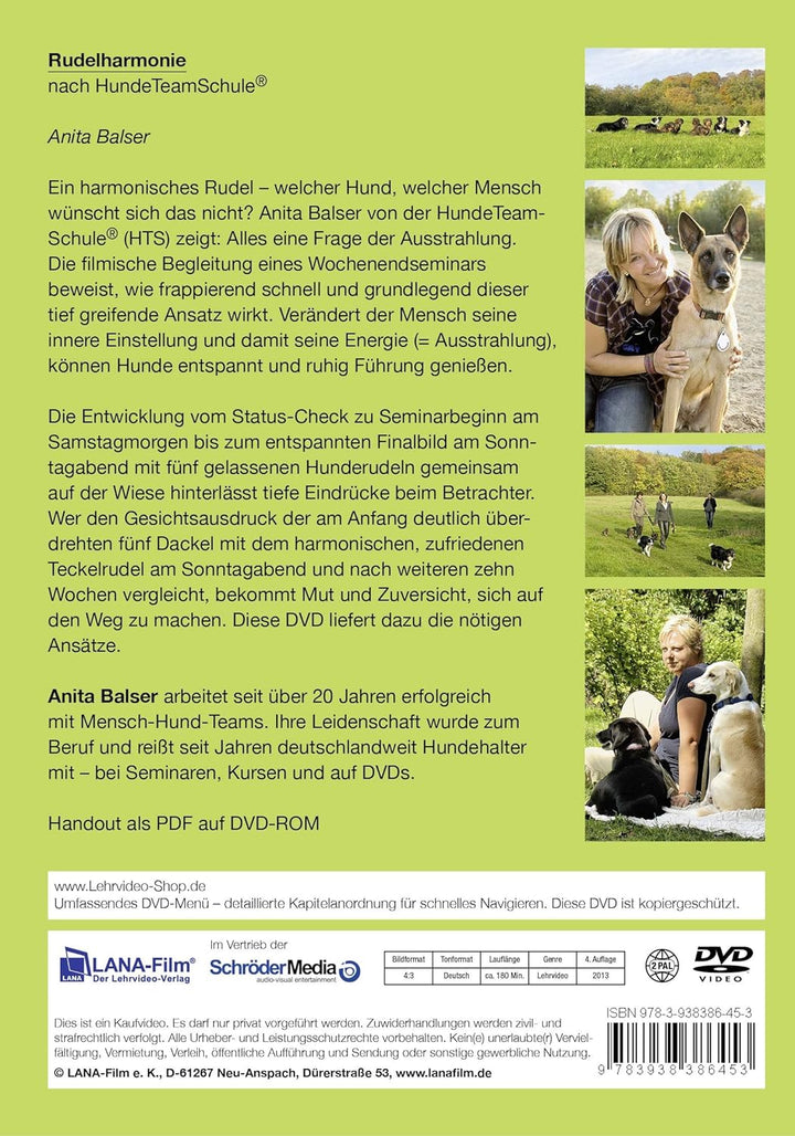 Rudelharmonie nach HundeTeamSchule: Führen eines Hunderudels, DVD