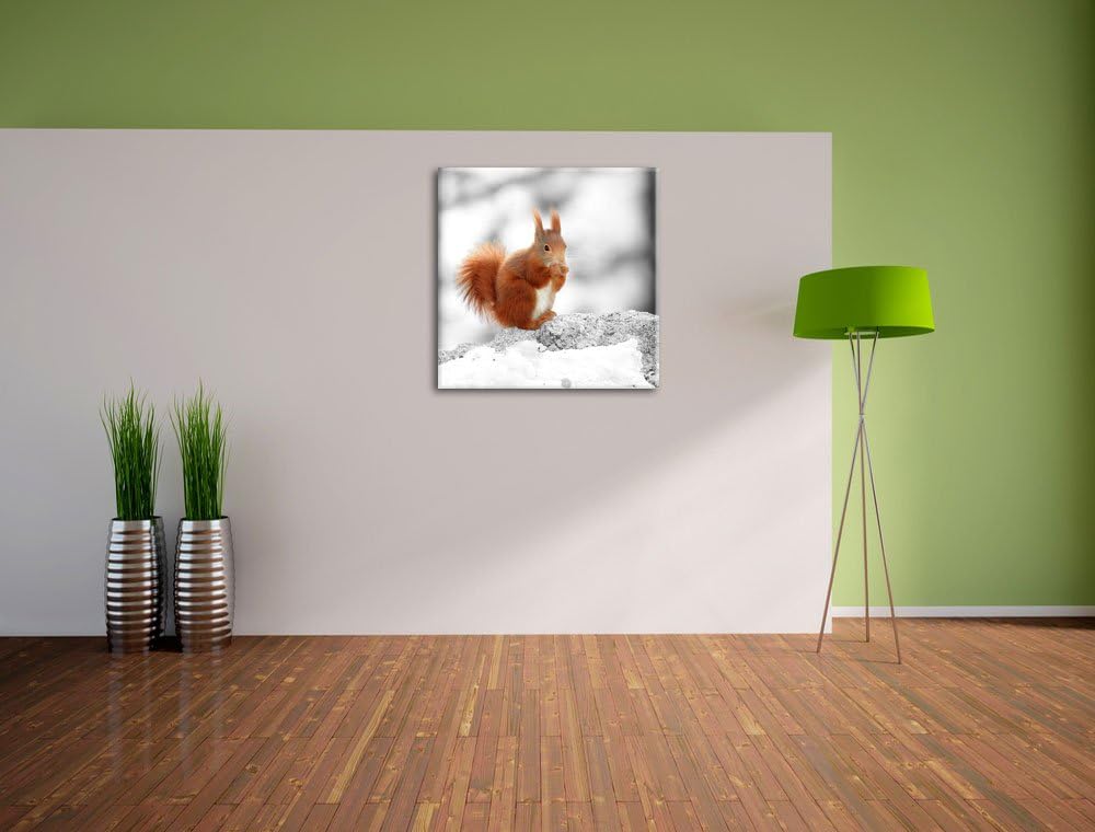 Pixxprint Eichhörnchen in verschneitem Wald als Leinwandbild/Grösse: 70x70 cm/Wandbild/Kunstdruck/fe