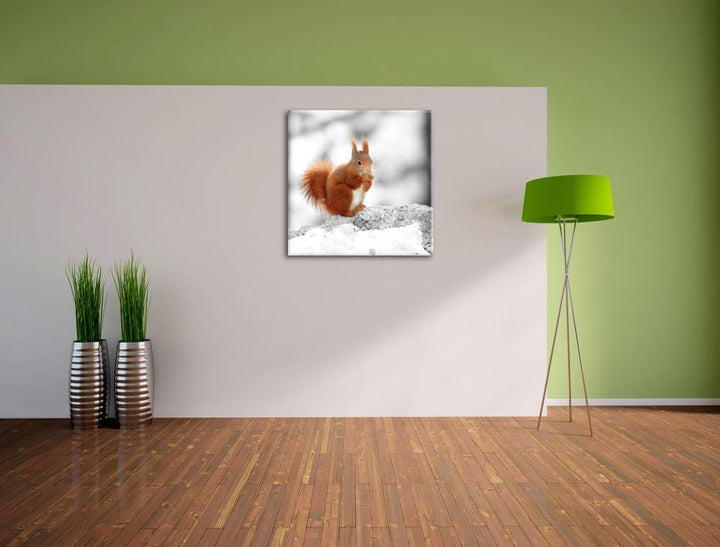 Pixxprint Eichhörnchen in verschneitem Wald als Leinwandbild/Grösse: 70x70 cm/Wandbild/Kunstdruck/fe
