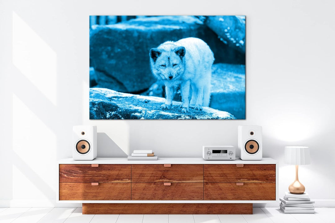 deyoli Atemberaubender Polarfuchs Format 80x60 Effekt: Monocrome Blau als Leinwandbild, Motiv fertig