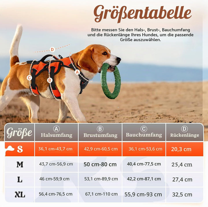 rabbitgoo Ausbruchsichere Hundegeschirr Kleine Hunde mit Griff, Anti Zug Sicherheitsgeschirr Hund At