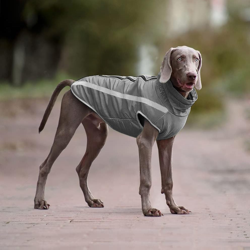 Idepet Wasserdichter Hundemantel Winter Warme Jacke, Winddichte Haustierkleidung Hundejacke Outfit f