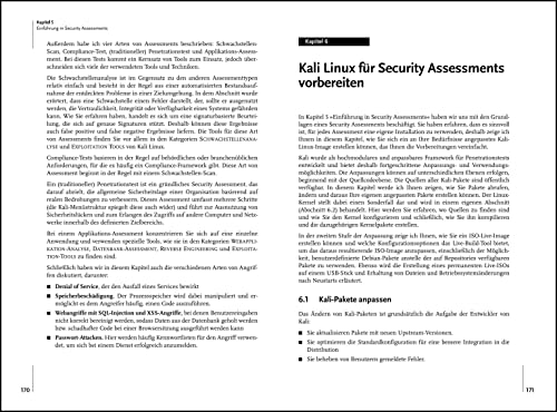 Einstieg in Kali Linux: Penetration Testing und Ethical Hacking mit Linux (mitp Professional)