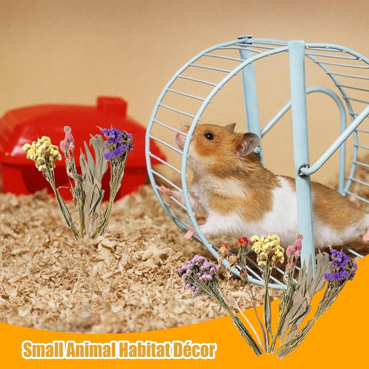 Generisch Hamster Einstreu, 25 cm Natürlich Getrocknete, Trockenblumen Für Hamster, Hamsters Einstre