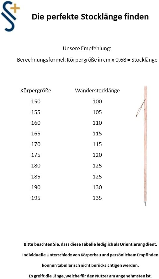 Stock-Fachmann® Wanderstock Pilgerstock Marschierer Geflammt Inka Imitiert Echtholzstock 110 cm, 110