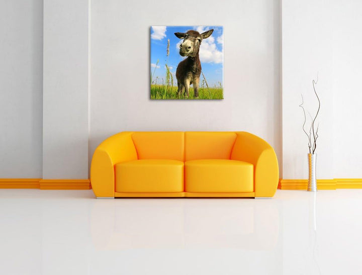 Pixxprint Esel in einem Feld als Leinwandbild/Grösse: 70x70 cm/Wandbild/Kunstdruck/fertig bespannt,