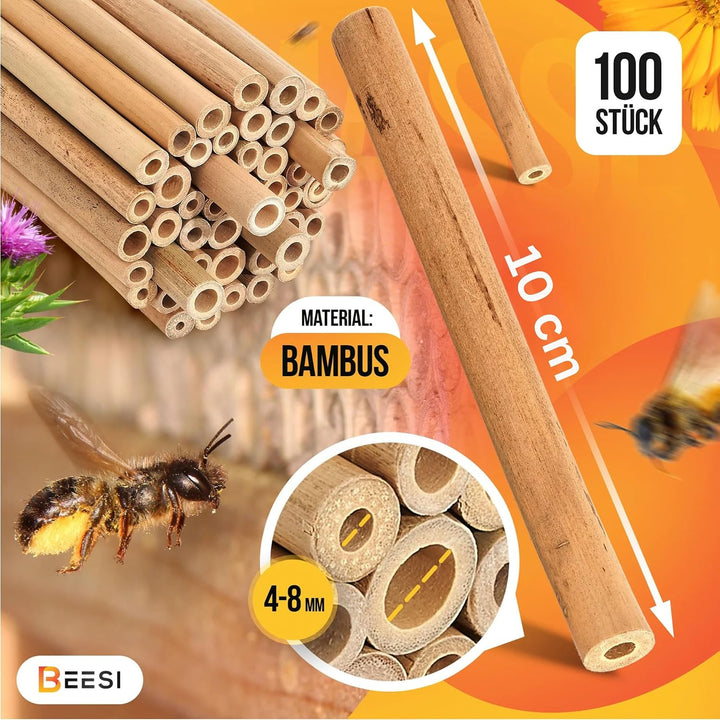 Beesi Bambusröhrchen für Insektenhotel 100 Stück 10cm Länge I Insektenhaus für Wildbienen I Wildbien