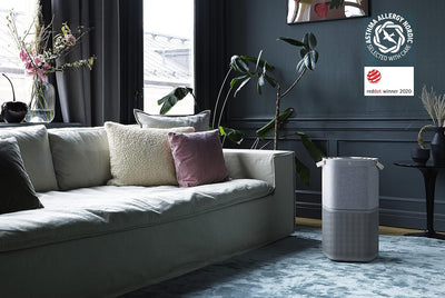 Electrolux PA91-404GY Anschluss Luftreiniger mit Batterieschutz und Filter für unangenehme Gerüche,