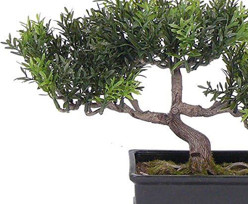 kunstpflanzen-discount.com Künstlicher Teeblat Bonsai 23cm in dekorativer Schale mit 98 naturgetreue