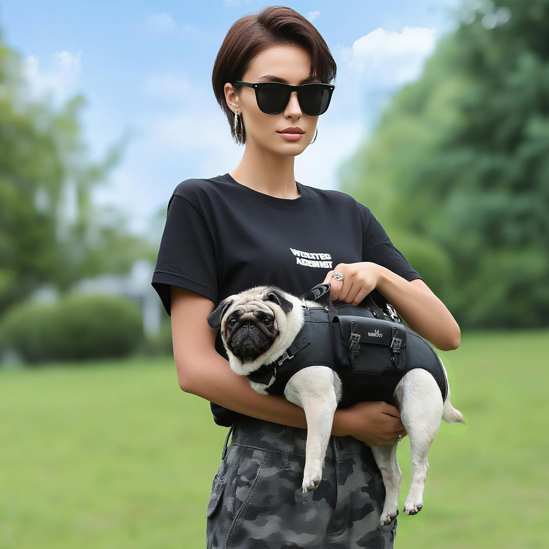Wakytu Tragehilfe für kleine Hunde, Hebegeschirr, verstellbare gepolsterte atmungsaktive Gurte. Für