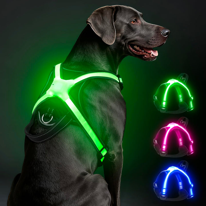 LED Hundegeschirr Leuchtend, Multicolor Reflektierendes Leuchthundegeschirr für Nacht, USB-C Wiedera