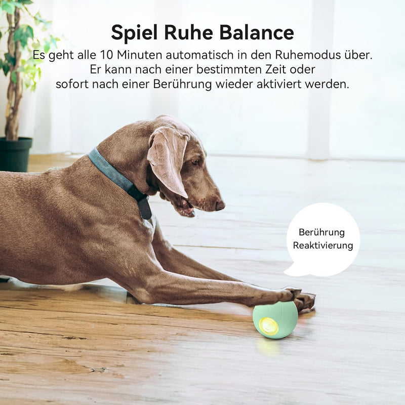 Cheerble Wicked Ball PE, 3 Interaktionsmodi Interaktives Hundespielzeug Ball, Selbstrollender Ball H