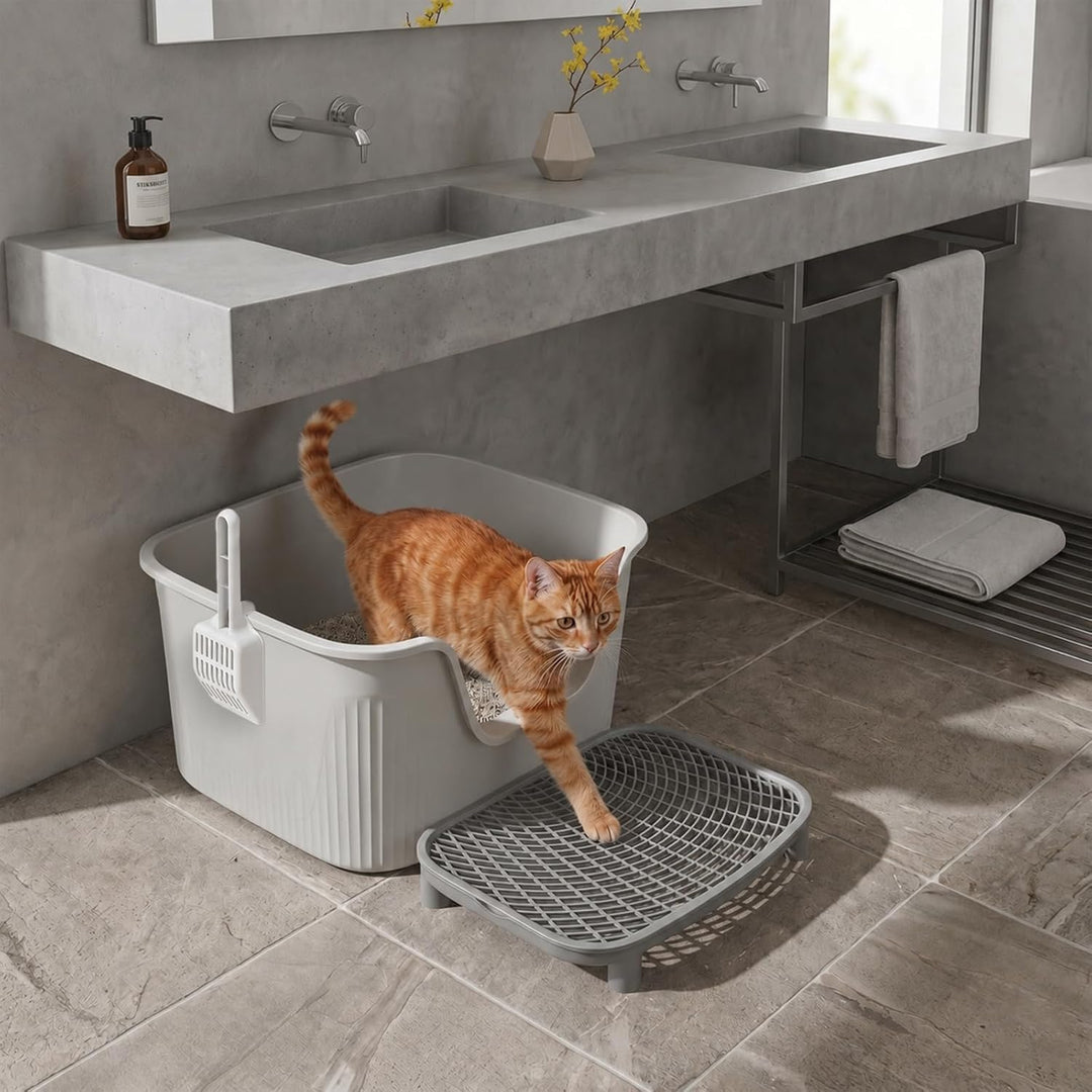 Katzenklo Mit hohem Rand, Grau Katzentoilette Offen Standard (60L) – 54x40x27 cm, Matte & Schaufel,