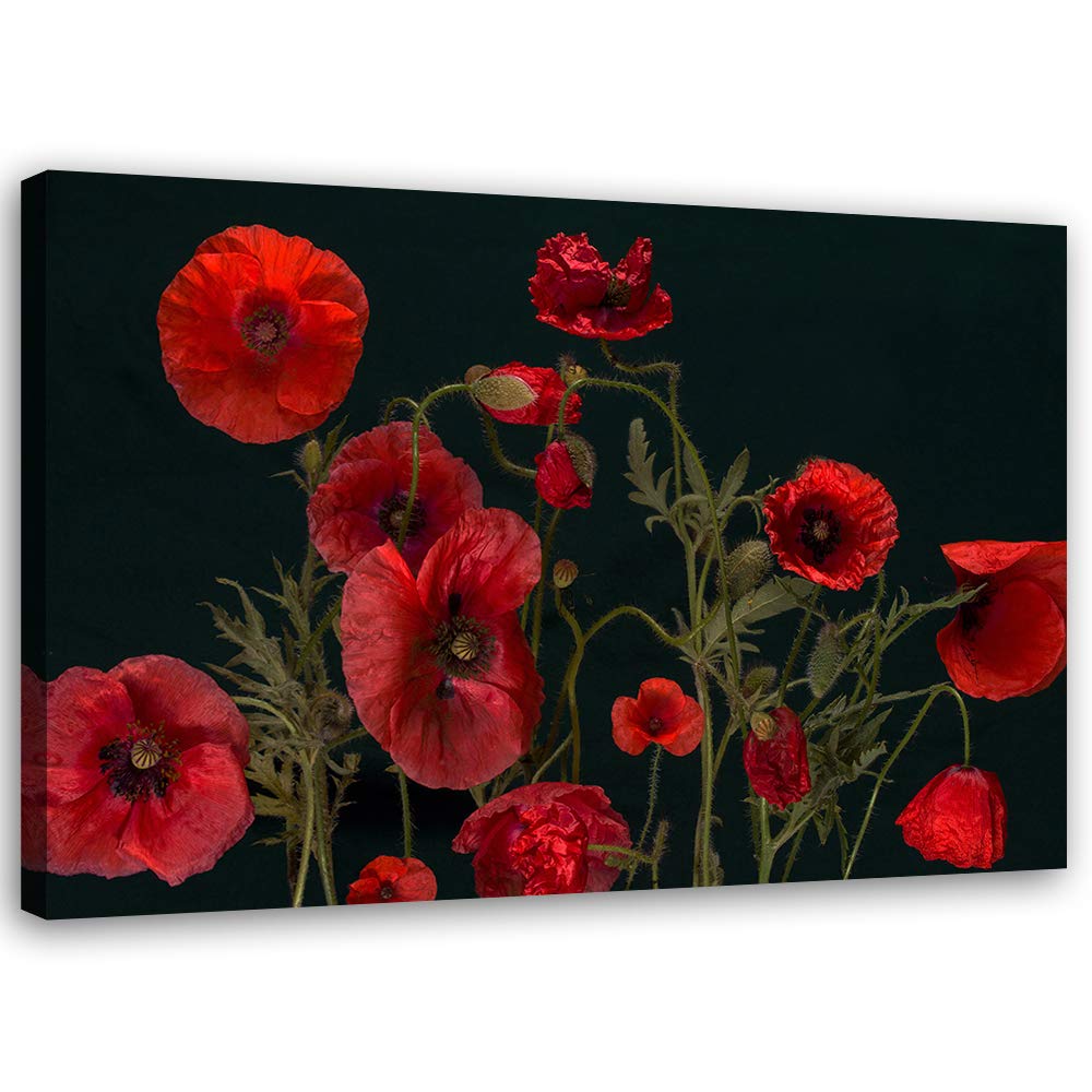 Feeby Bild auf Leinwand Mohn Kunstdruck modern Pflanzen Rot 80x60 cm Leinwandbild 80x60 cm Rot_B, Le