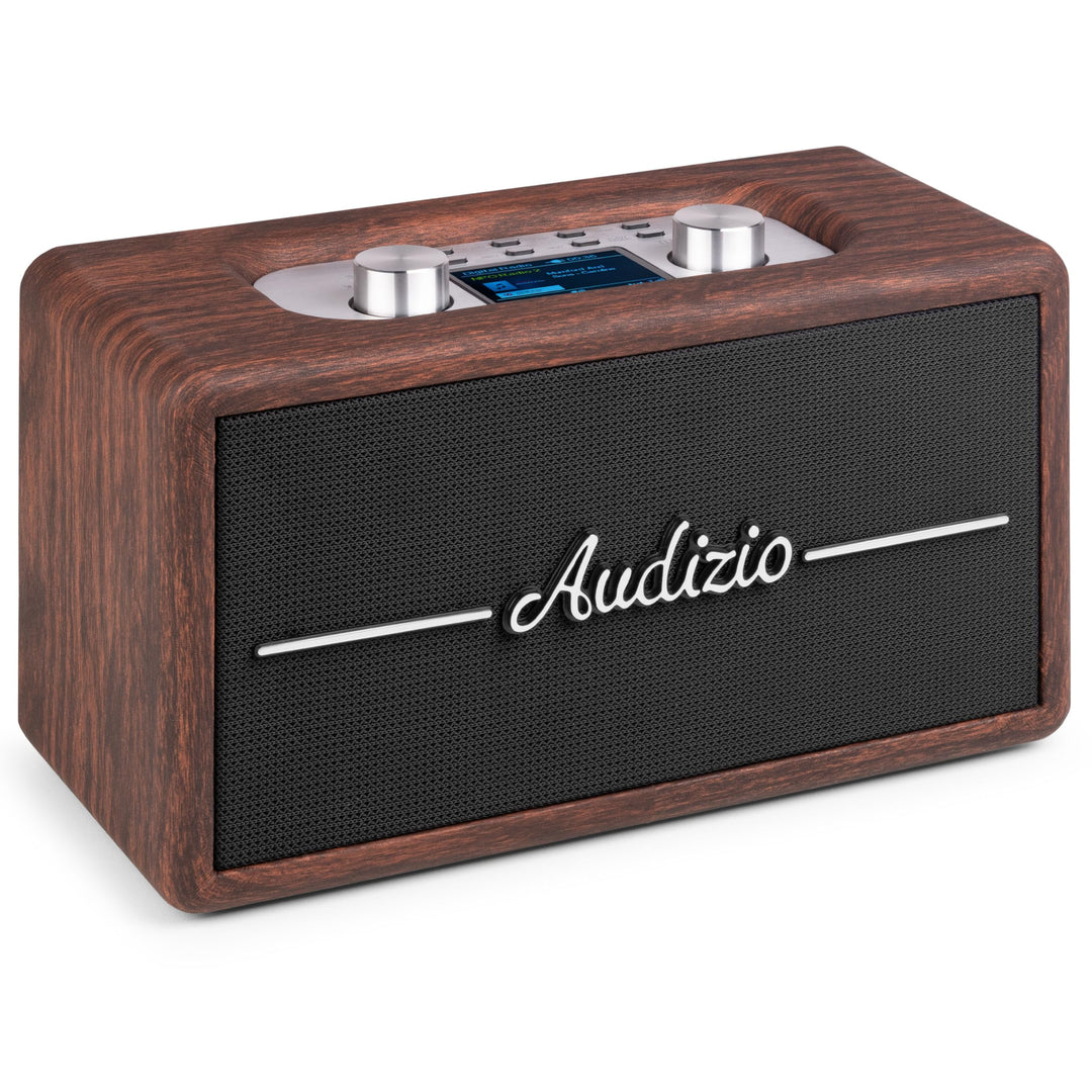 Audizio Tune60 - DAB Radio mit Bluetooth Lautsprecher, Fernbedienung, FM, 40 Watt, Batterie- Netzbet