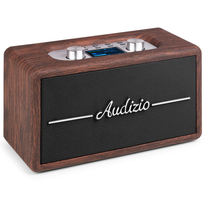 Audizio Tune60 - DAB Radio mit Bluetooth Lautsprecher, Fernbedienung, FM, 40 Watt, Batterie- Netzbet