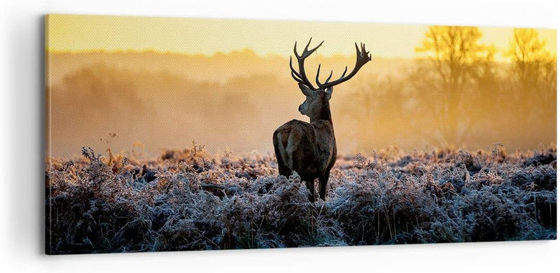 Panorama Bilder auf Leinwand 100x40cm Leinwandbild Feld Nebel Natur Baum Gross Wanddeko Bild Schlafz