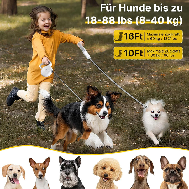 Hundeleine 5m,Rollleine Active Brake Schwere Leine für Mittlere und grosse Hunde Geeignet für Hunde
