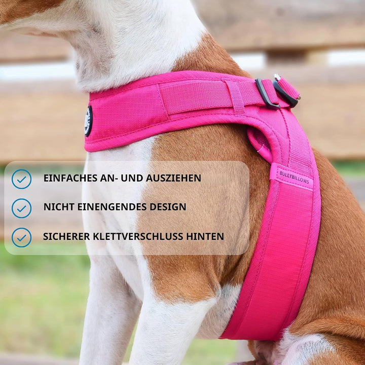 BullyBillows Boomerang Hundegeschirr leicht und Nicht einschränkend Einfach anzulegen und abzunehmen