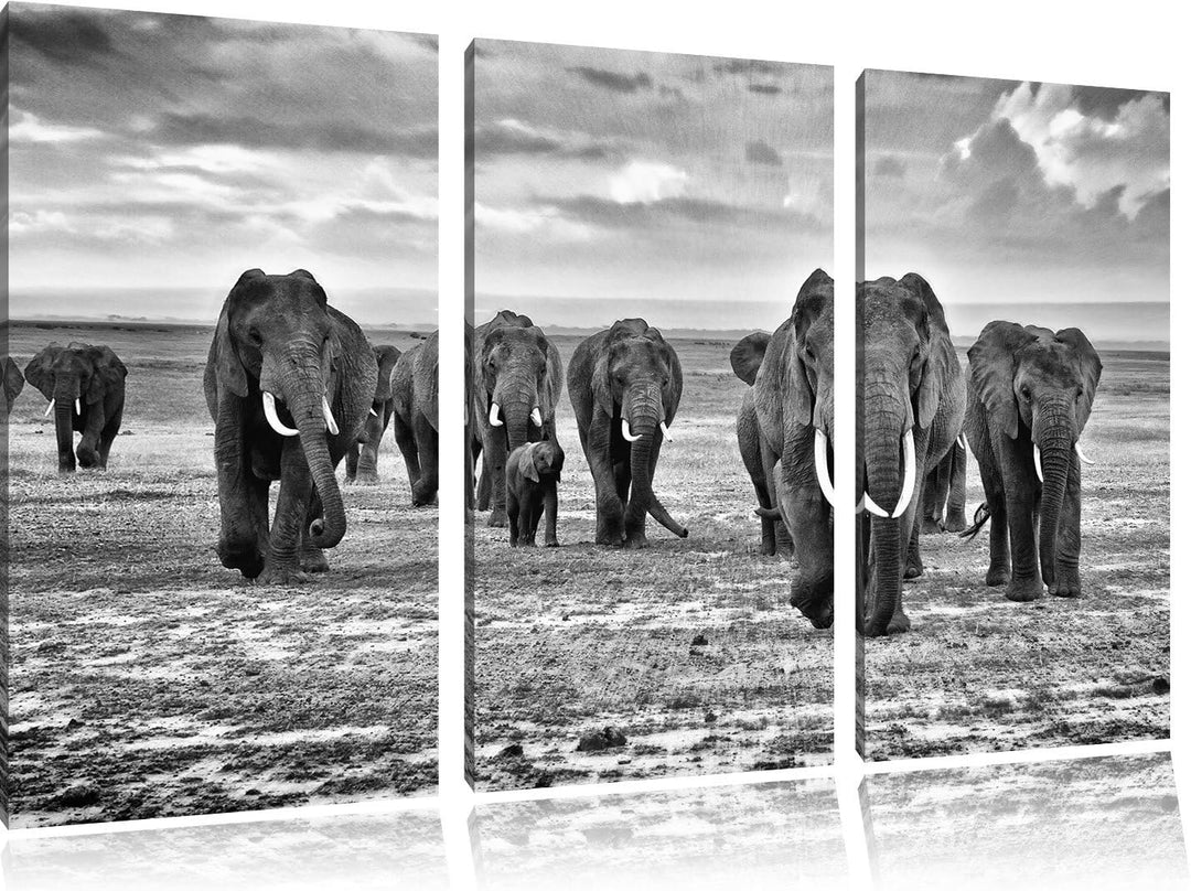 Pixxprint Elefanten Familie in der Savanne als Leinwandbild/Grösse: 3 Teilig (120x80 cm) cm/Wandbild
