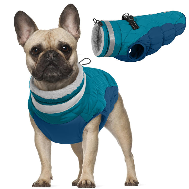 Hundemantel XS, Hundepulli für Kleine Hunde Welpenmantel Hundepullover Hundejacken Winterweste für K