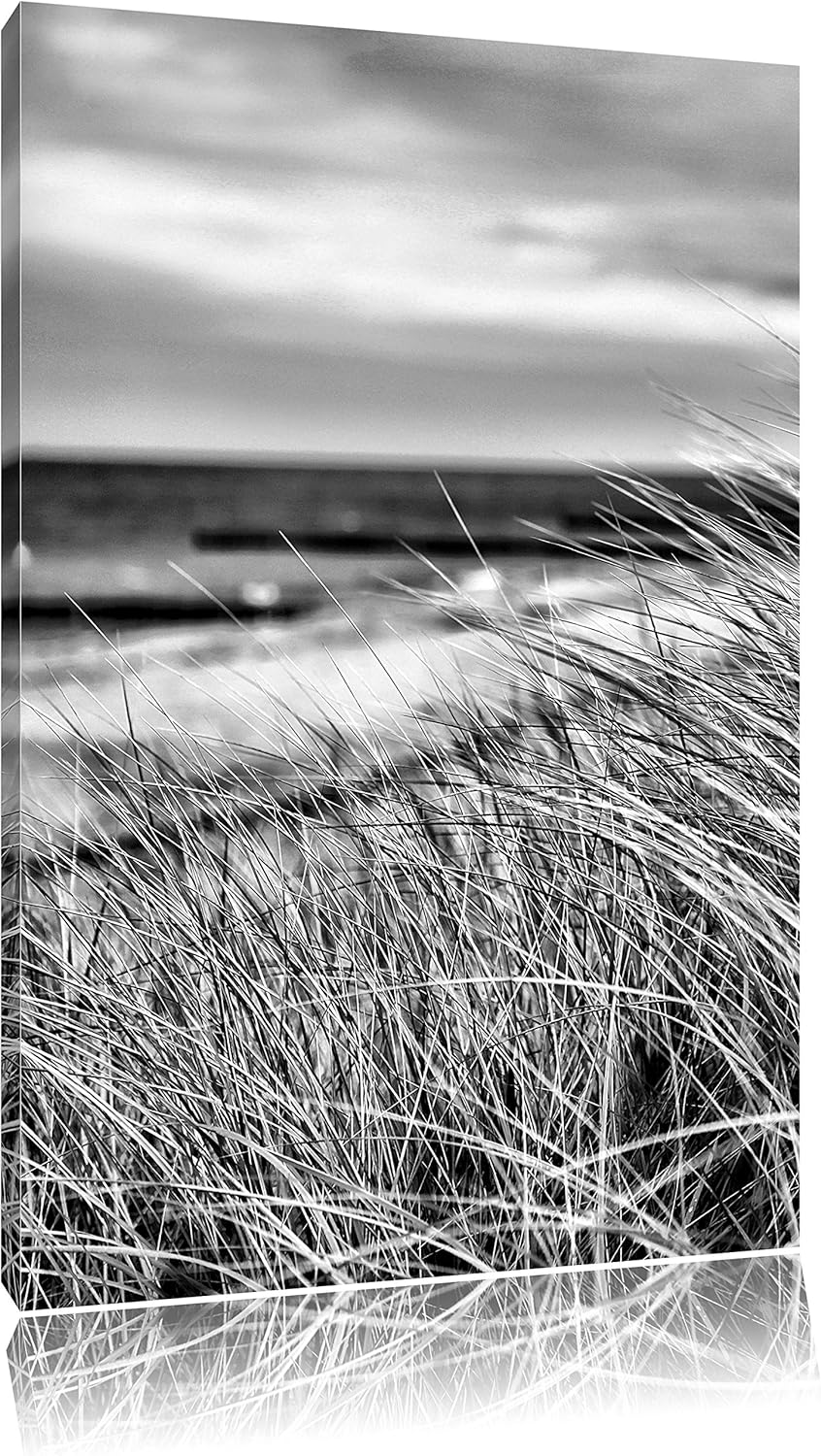 Pixxprint Monocrome, Sanddünen mit Schilfgras am Meer, Format: 100x70 auf Leinwand, 100x70