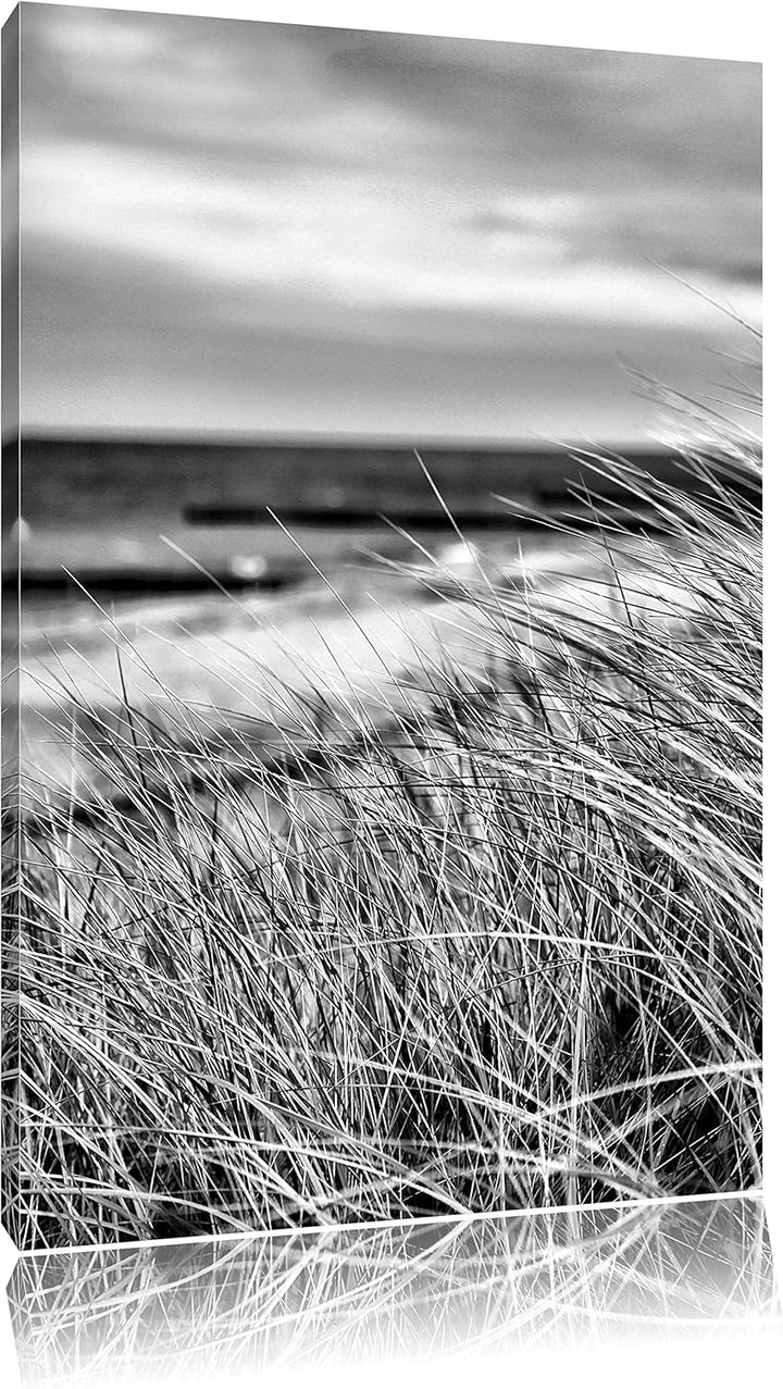 Pixxprint Monocrome, Sanddünen mit Schilfgras am Meer, Format: 100x70 auf Leinwand, 100x70
