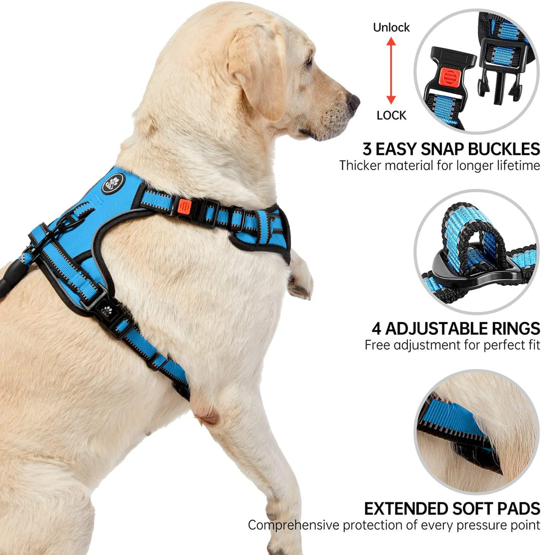 NESTROAD Hundegeschirr Grosse Hunde Leine Geschirrset Blau, Grösse L für Hunde Grosse mit Halsumfang