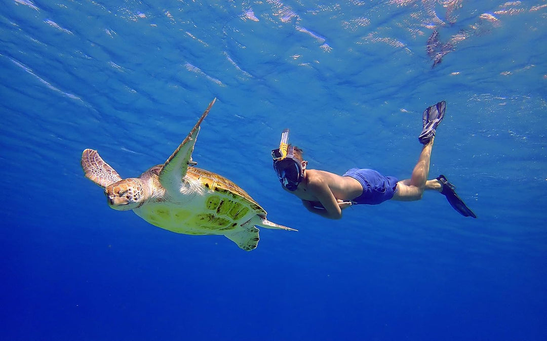 OCEAN REEF - Aria QR + Schnorchelmaske - Vollmaske mit Mundstück - Für eine bessere 180 Grad Unterwa