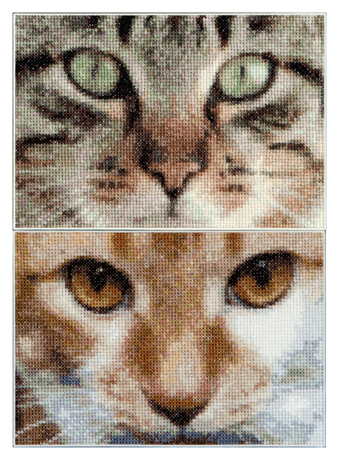 Thea Gouverneur - Kreuzstich-Set - Katzen Tes + Simba - Aida - 16 Count - Für Erwachsene - 543A 543A