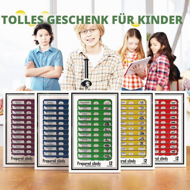 Ninyoon 60pcs Mikroskop Objektträger mit Proben für Kinder - Kinder präpariert Mikroskop Objektträge