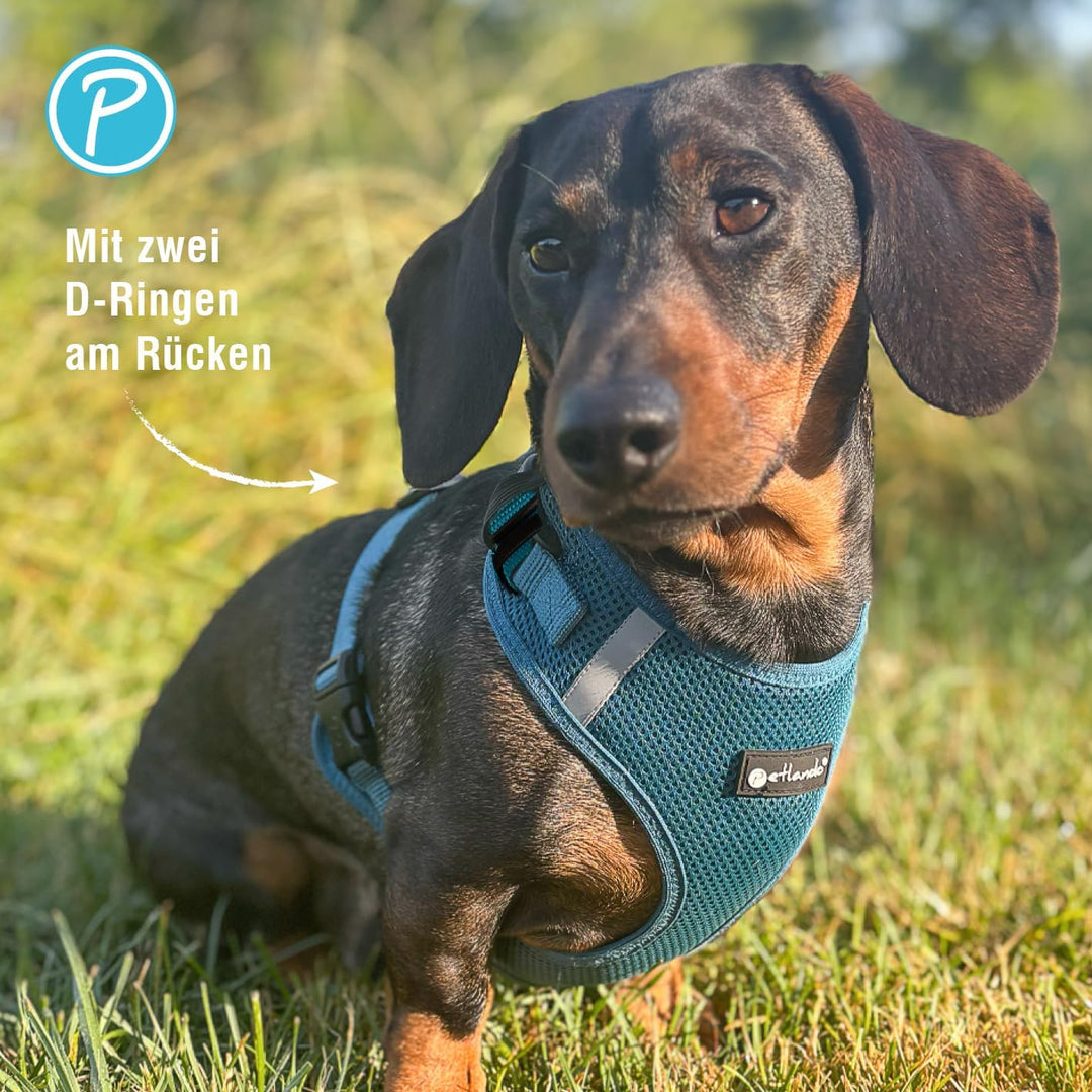 Petlando Hundegeschirr Mesh Vest, leichtes Brustgeschirr aus weichem Mesh & Nylon, stufenlos verstel
