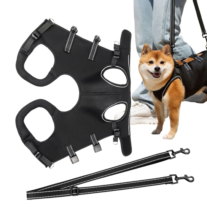 Hundegeschirr Zum Tragen - Hunde Geschirr Mit Beinstütze &amp; Tragegurt für Welpen | Atmungsaktive Trag